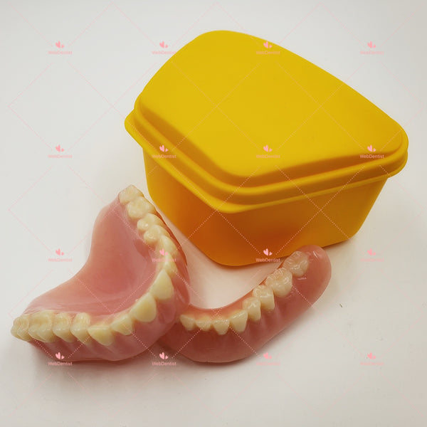 High Quality Custom Made FULL UPPER/LOWER DENTURE *Impression kit INCLUDED*