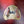 Load image into Gallery viewer, Permanently  Custom Made High Quality Upper/Lower Partial Denture w/Metal *Impression kit INCLUDED*