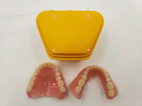 High Quality Custom Made FULL UPPER/LOWER DENTURE *Impression kit not included*